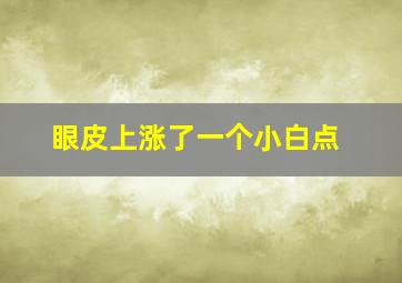 眼皮上涨了一个小白点