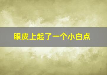 眼皮上起了一个小白点