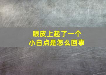 眼皮上起了一个小白点是怎么回事