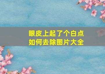 眼皮上起了个白点如何去除图片大全