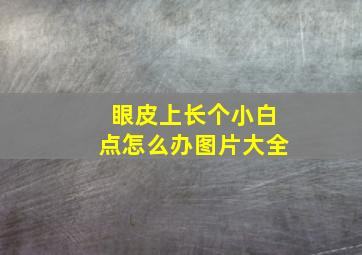 眼皮上长个小白点怎么办图片大全