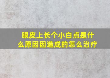 眼皮上长个小白点是什么原因因造成的怎么治疗