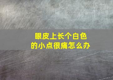 眼皮上长个白色的小点很痛怎么办