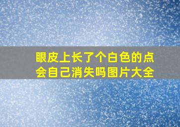 眼皮上长了个白色的点会自己消失吗图片大全