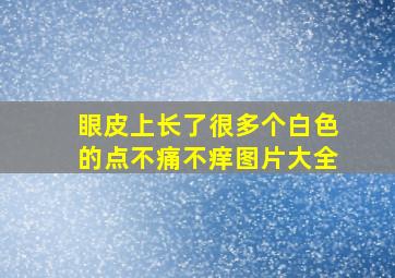 眼皮上长了很多个白色的点不痛不痒图片大全