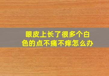 眼皮上长了很多个白色的点不痛不痒怎么办