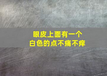 眼皮上面有一个白色的点不痛不痒