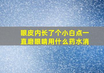 眼皮内长了个小白点一直磨眼睛用什么药水消