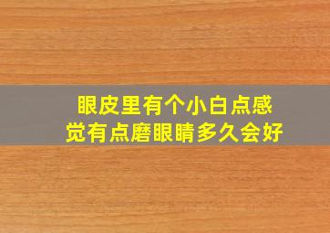 眼皮里有个小白点感觉有点磨眼睛多久会好