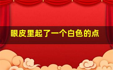 眼皮里起了一个白色的点