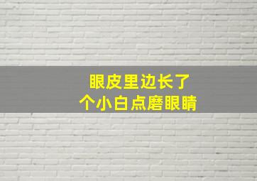 眼皮里边长了个小白点磨眼睛