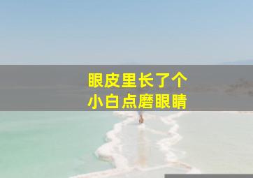 眼皮里长了个小白点磨眼睛