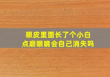 眼皮里面长了个小白点磨眼睛会自己消失吗