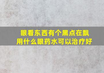 眼看东西有个黑点在飘用什么眼药水可以治疗好