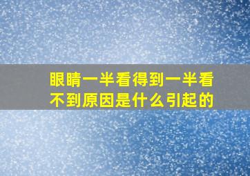 眼睛一半看得到一半看不到原因是什么引起的