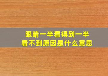 眼睛一半看得到一半看不到原因是什么意思