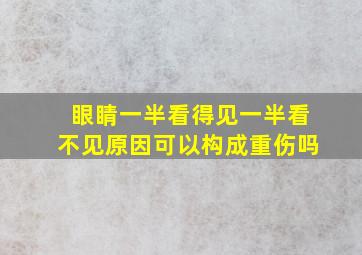 眼睛一半看得见一半看不见原因可以构成重伤吗