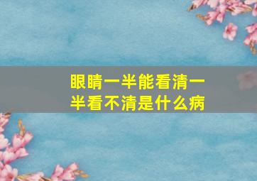 眼睛一半能看清一半看不清是什么病