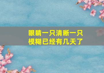 眼睛一只清晰一只模糊已经有几天了