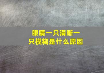 眼睛一只清晰一只模糊是什么原因