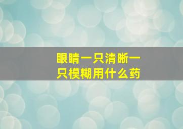 眼睛一只清晰一只模糊用什么药