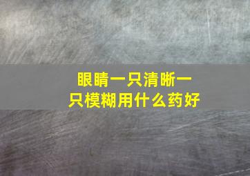 眼睛一只清晰一只模糊用什么药好