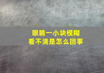 眼睛一小块模糊看不清是怎么回事