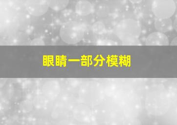 眼睛一部分模糊