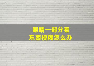 眼睛一部分看东西模糊怎么办