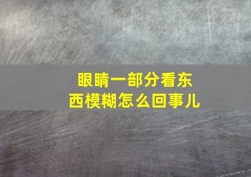 眼睛一部分看东西模糊怎么回事儿