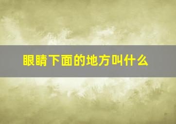 眼睛下面的地方叫什么