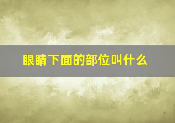 眼睛下面的部位叫什么