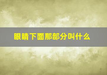 眼睛下面那部分叫什么