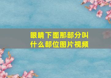 眼睛下面那部分叫什么部位图片视频