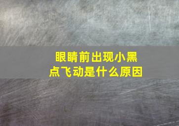 眼睛前出现小黑点飞动是什么原因