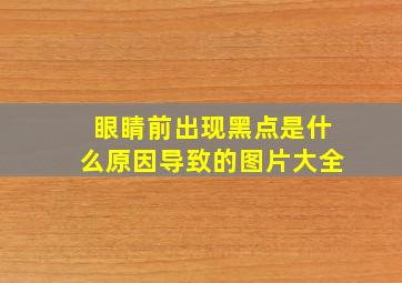 眼睛前出现黑点是什么原因导致的图片大全