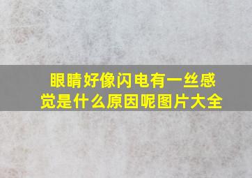 眼睛好像闪电有一丝感觉是什么原因呢图片大全