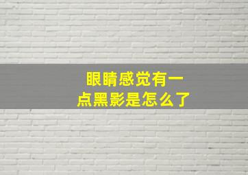 眼睛感觉有一点黑影是怎么了