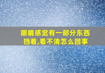 眼睛感觉有一部分东西挡着,看不清怎么回事