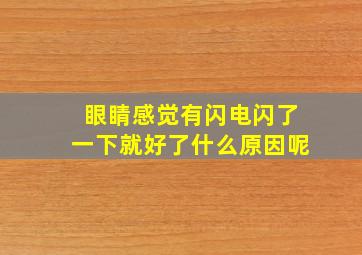 眼睛感觉有闪电闪了一下就好了什么原因呢