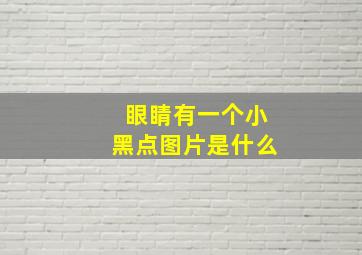 眼睛有一个小黑点图片是什么