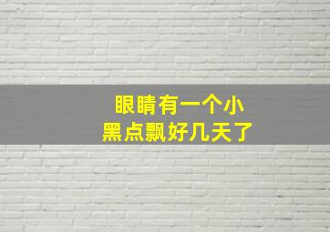 眼睛有一个小黑点飘好几天了