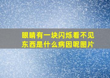 眼睛有一块闪烁看不见东西是什么病因呢图片