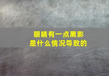 眼睛有一点黑影是什么情况导致的