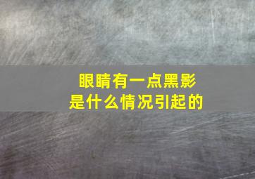 眼睛有一点黑影是什么情况引起的