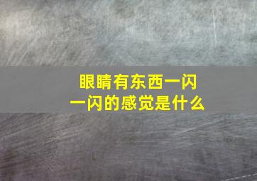 眼睛有东西一闪一闪的感觉是什么