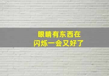 眼睛有东西在闪烁一会又好了