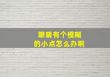 眼睛有个模糊的小点怎么办啊