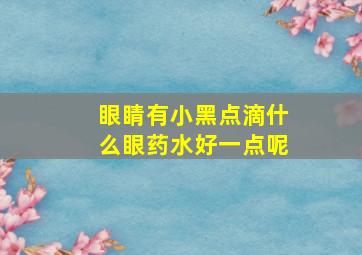 眼睛有小黑点滴什么眼药水好一点呢