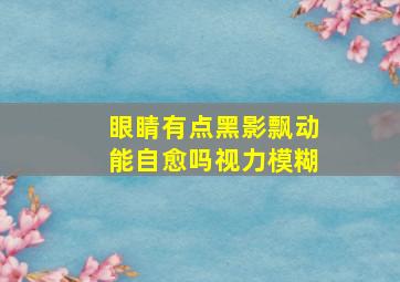 眼睛有点黑影飘动能自愈吗视力模糊